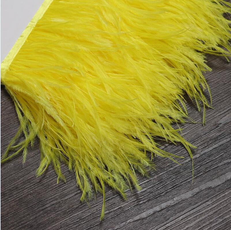 13-18CM 6M Ostrich Feather tri - Feather Trim Marabou review and price