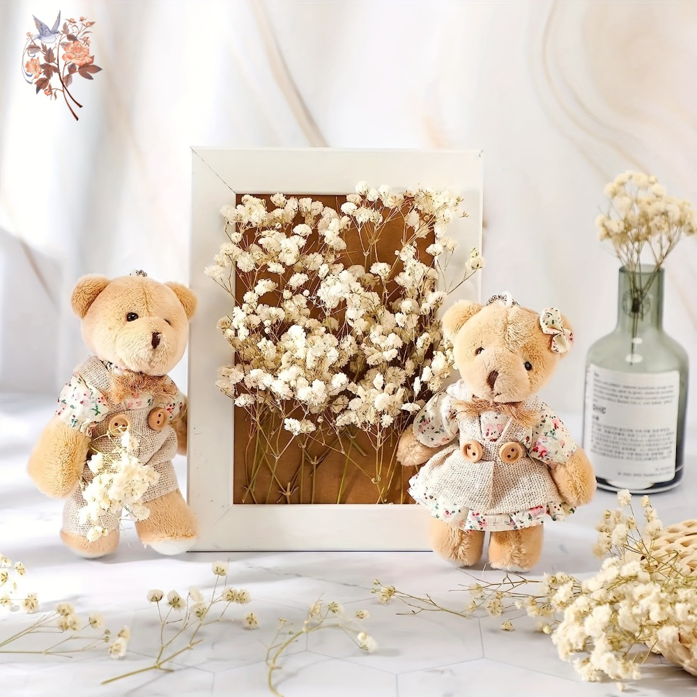 100pcs Mini Dried Baby's Breat - Embellish Craft review and price